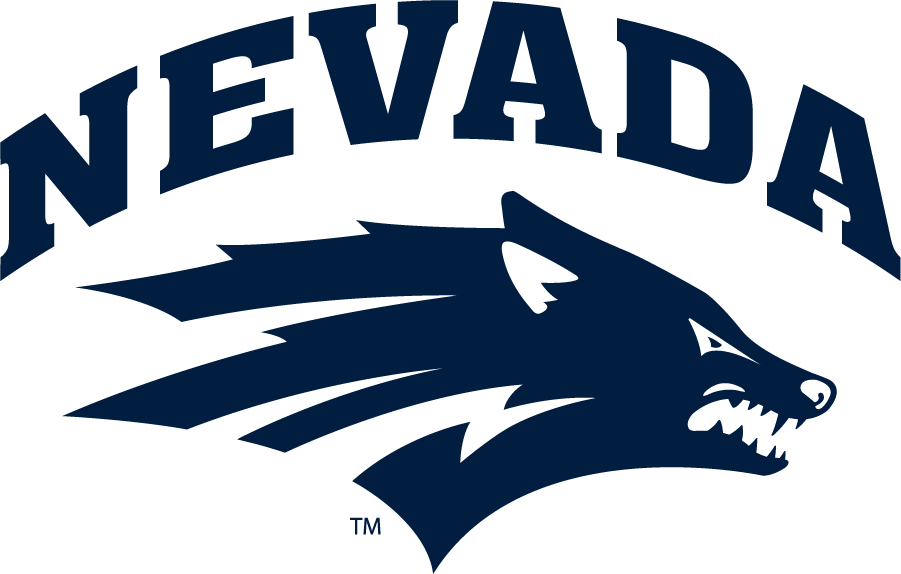 Nevada Wolf Pack 2008-Pres Primary Logo diy iron on heat transfer